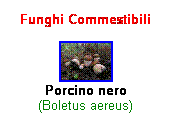 Casella di testo: Funghi Commestibili
 

Porcino nero
(Boletus aereus)
