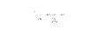 Casella di testo: funghi
